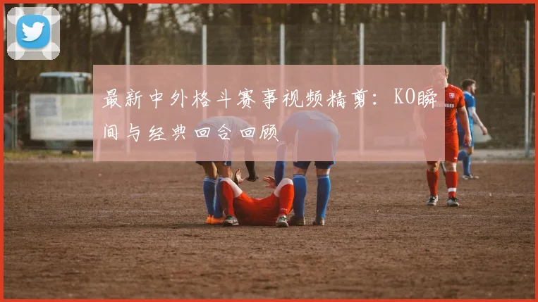 最新中外格斗赛事视频精剪：KO瞬间与经典回合回顾